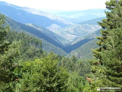Sierras de Neila y Urbión;campamento el pielago camping la adrada la selva de irati navarra grupos d